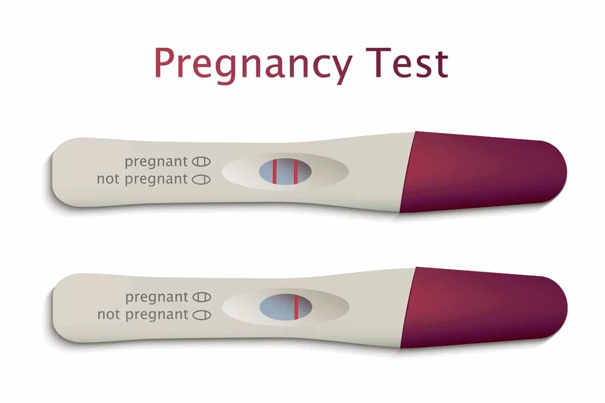 Test embarazo pasta de dientes