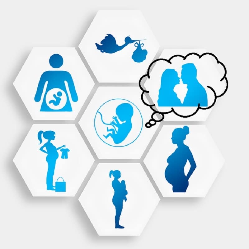 La planificacion del embarazo es una garantia para tu salud y la de tu hijo