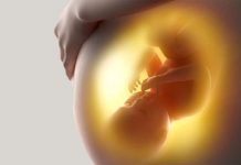 tramites para solicitar la baja por maternidad reducción de jornada
