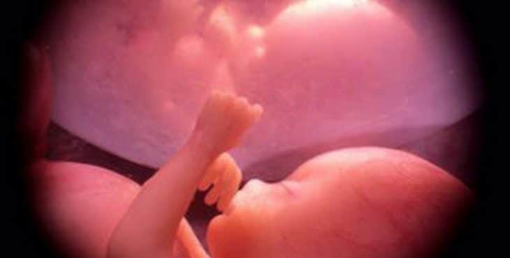 Desarrollo fetal en la semana 29 de embarazo