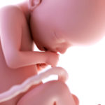 Detalle feto semana 22 embarazo