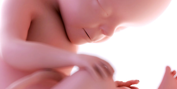 Desarrollo fetal en la semana 27 de embarazo