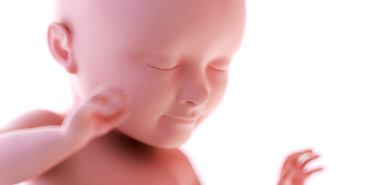 Desarrollo fetal semana 34 deembarazo