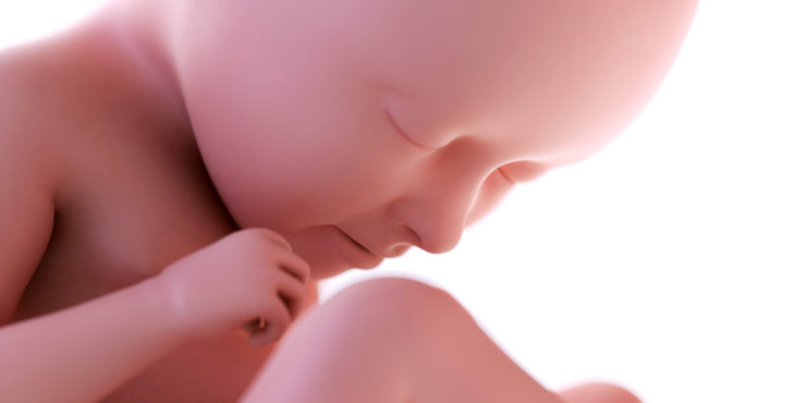 Desarrollo fetal a las 35 semanas