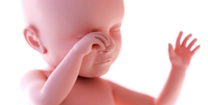 Desarrollo fetal en la semana 39 de gestación
