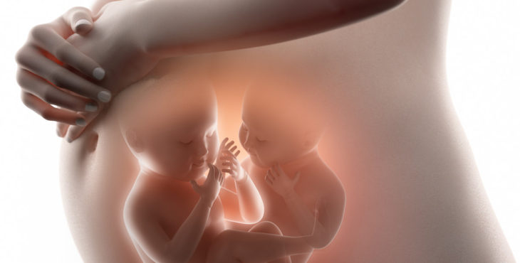 Embarazo de gemelos