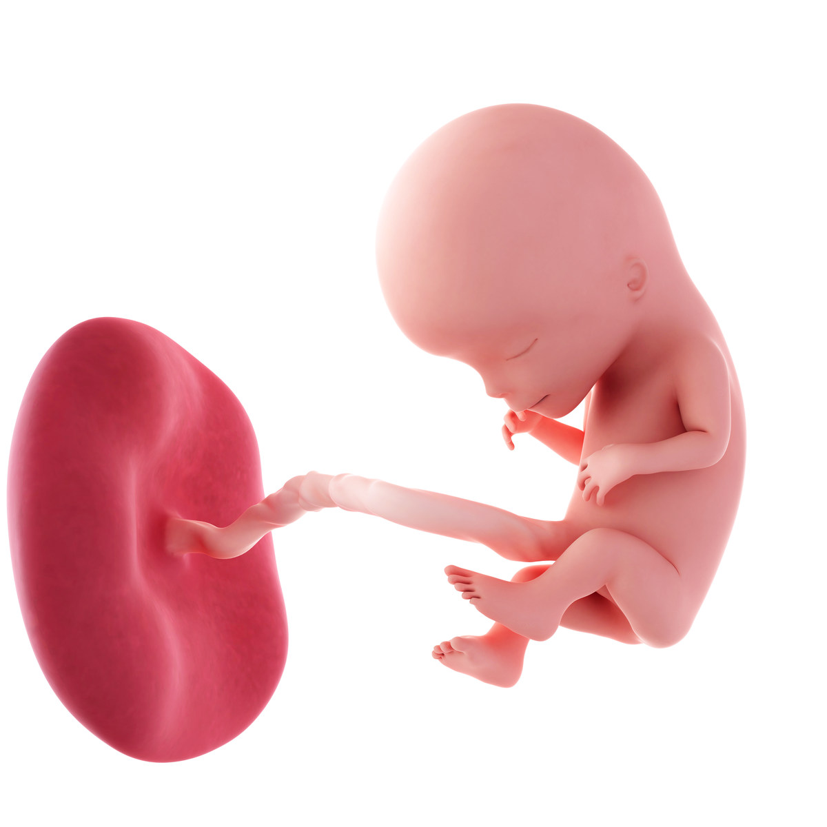 Como puedo sentir a mi bebe de 12 semanas