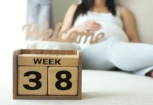 38 semanas de embarazo y la vida
