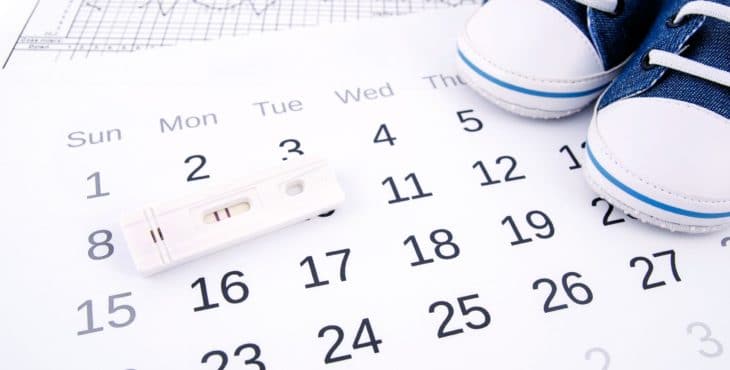 Características de calculadora de ovulación