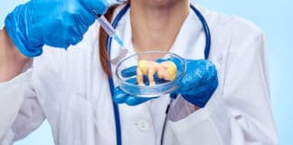 Preparación para la inseminación artificial
