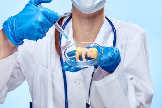 Preparación para la inseminación artificial