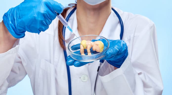 Preparación para la inseminación artificial
