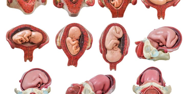 Cuello uterino debe permanecer cerrado hasta el parto 