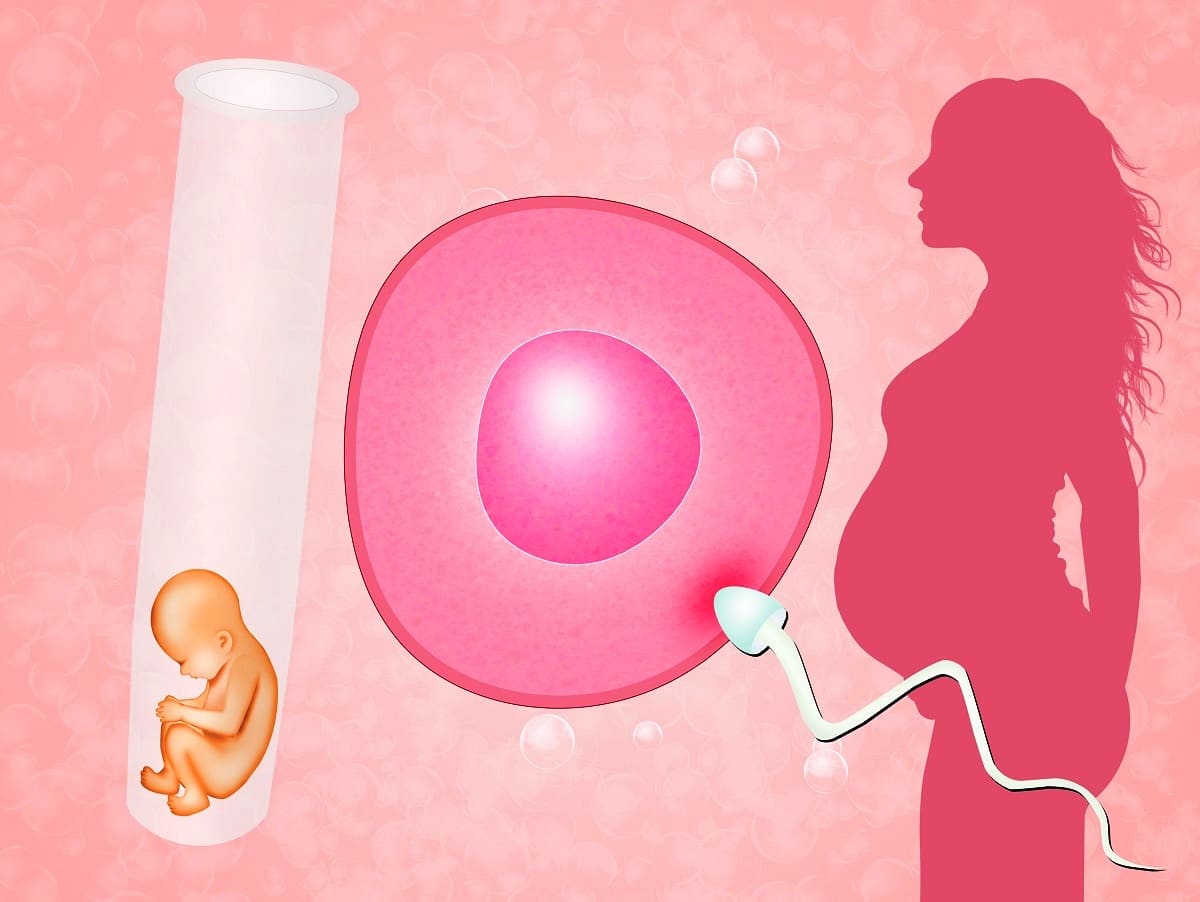 Reproduccion Asistida y maternidad subrogada - Canal Chupete
