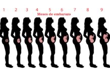 Cambios anatómicos
