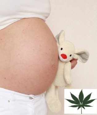 Cannabis y embarazo