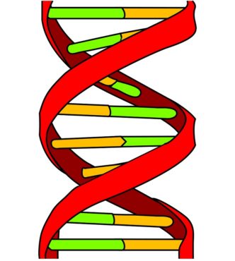 Alteraciones en el DNA