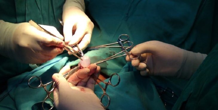 Cum Tratam Acasa Hernia Ombilical La Bebelusi Move Flex Gel In Romania