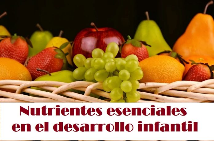 14 Nutrientes Esenciales En El Desarrollo Infantil Todo Lo Que Debes Saber 6960